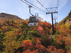 草津白根山 紅葉狩り（草津町）
