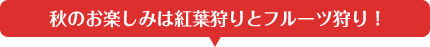 秋のお楽しみは紅葉狩りとフルーツ狩り！