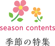 季節の特集