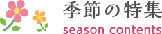 季節の特集