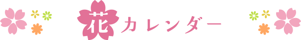 花カレンダー