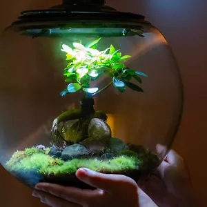 ホテルリソルトリニティ京都