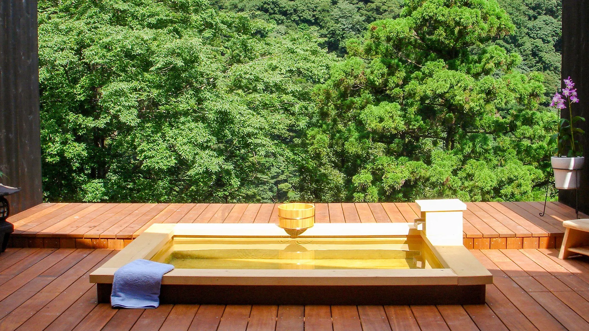 箱根小涌園ユネッサン周辺に泊まる旅館4軒を徹底比較