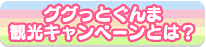 ググっとぐんま観光キャンペーンとは