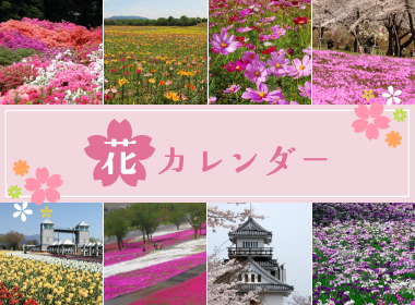 花カレンダー