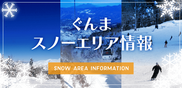 ぐんまスノーエリア情報