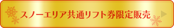 スノーエリア共通リフト券限定販売